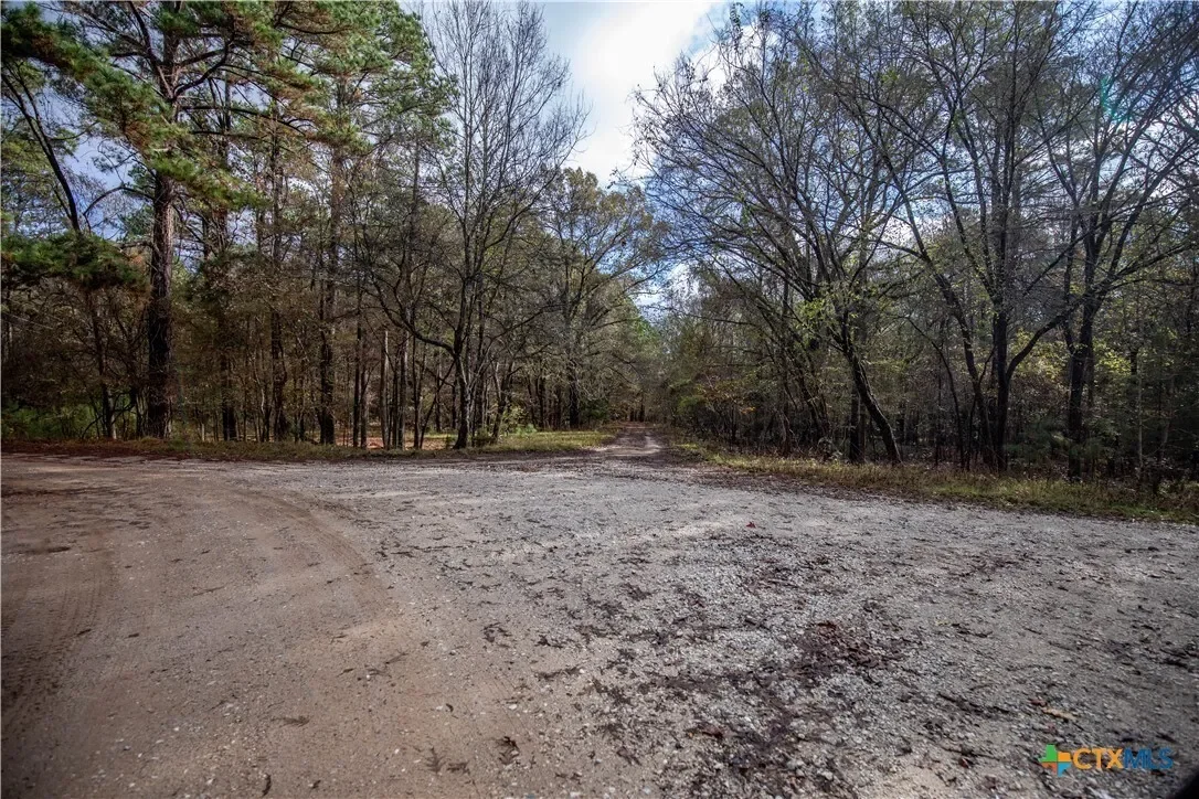 474 Pr 4311, White Oak, TX 75693, Longview, Texas, United States. - Photo 24