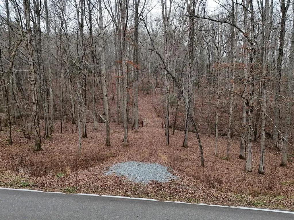 Gallery photo 4