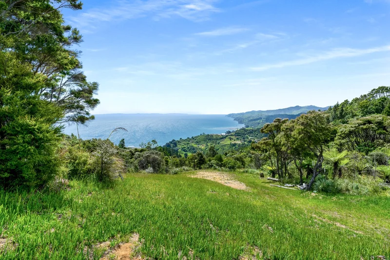 98 Tapu Rise Heights, Tapu, Coromandel, WKO 3575, Tapu, Waikato, New Zealand. - Photo 13