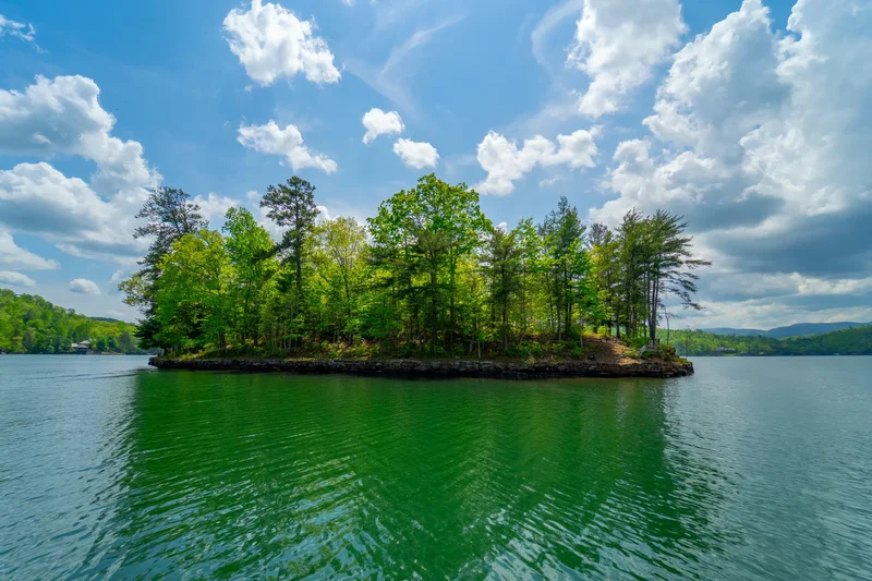 1 Burton Island, Tiger, GA 30576, Tiger, Georgia, United States. - Photo 93