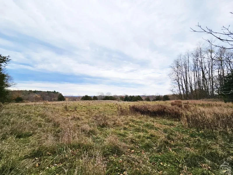 274 Fingar Road, Hudson, NY 12534, Hudson, New York, United States. - Photo 17