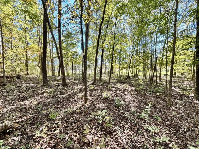 4740 Ash Hill Rd, Spring Hill, Tennessee, United States. - Photo 75