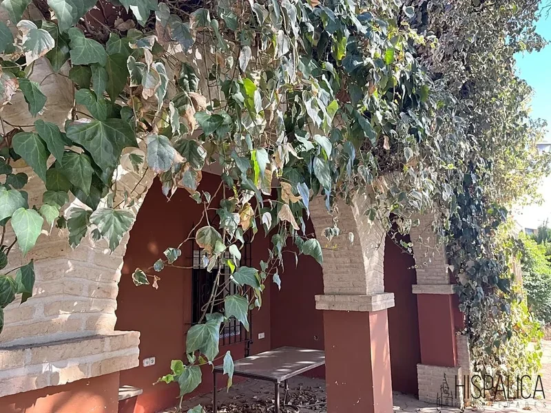 Écija, Sevilla, Écija, Ecija, Andalusia, Spain. - Photo 33