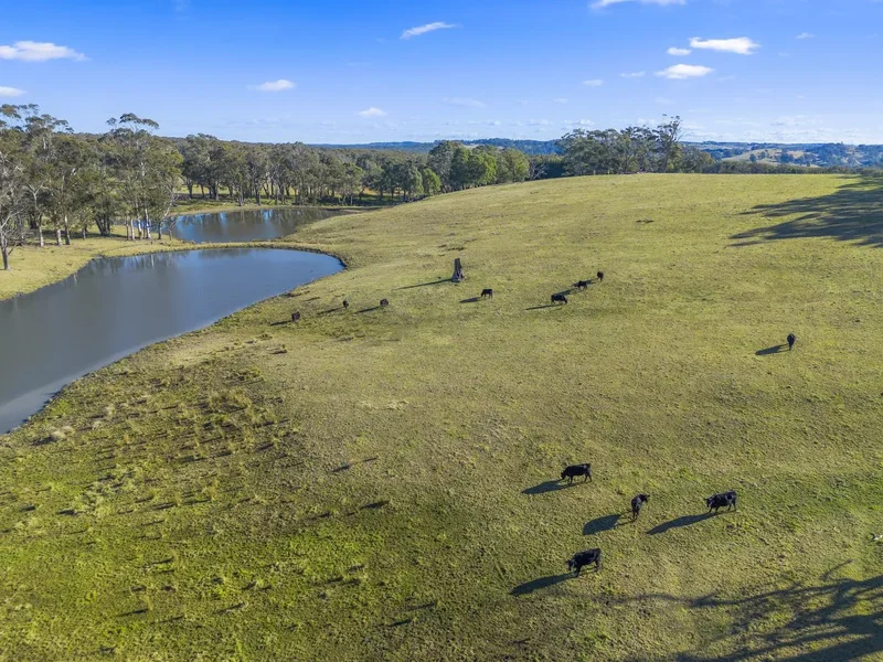 562 Nowra Road, Moss Vale, New South Wales, Australia. - Photo 34