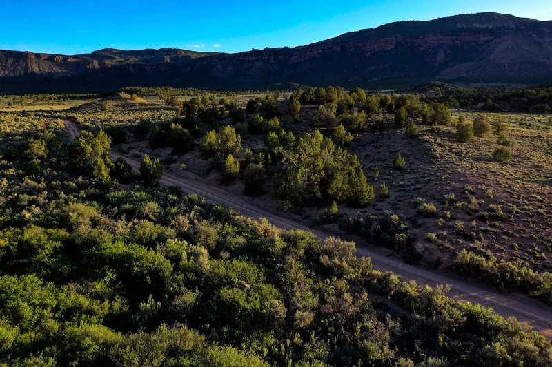 Sinbad Ranch , Gateway, CO 81522, Gateway, Colorado, United States. - Photo 27