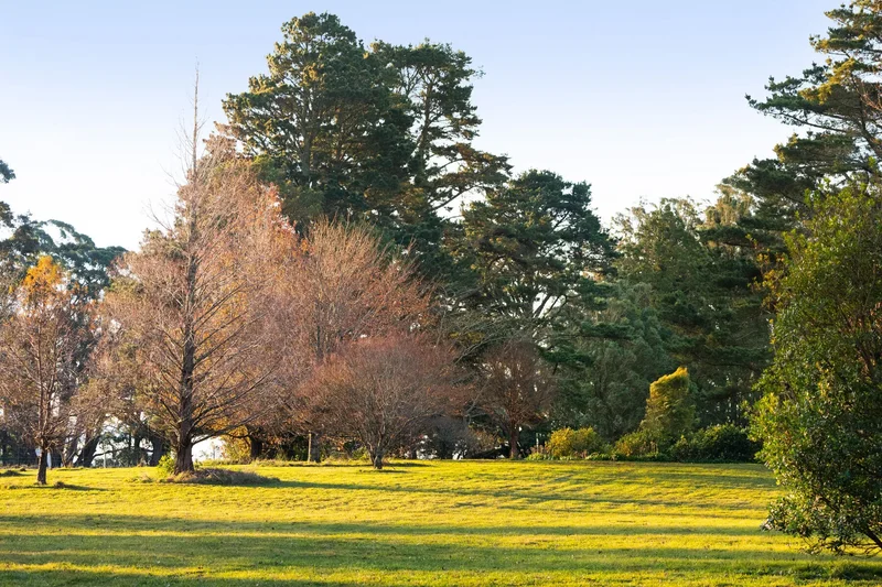 421 Myra Vale Road, Wildes Meadow, NSW, Wildes Meadow, New South Wales, Australia. - Photo 24