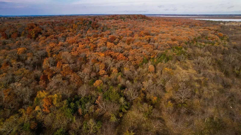 432 Acres Slickum Slough Road, Whitesboro, TX, 76273, USA, 76273, Texas, United States. - Photo 9