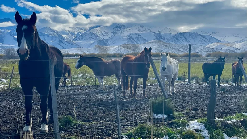 Land in Tupungato, Mendoza, M, Las Heras, Mendoza Province, Argentina. - Photo 19