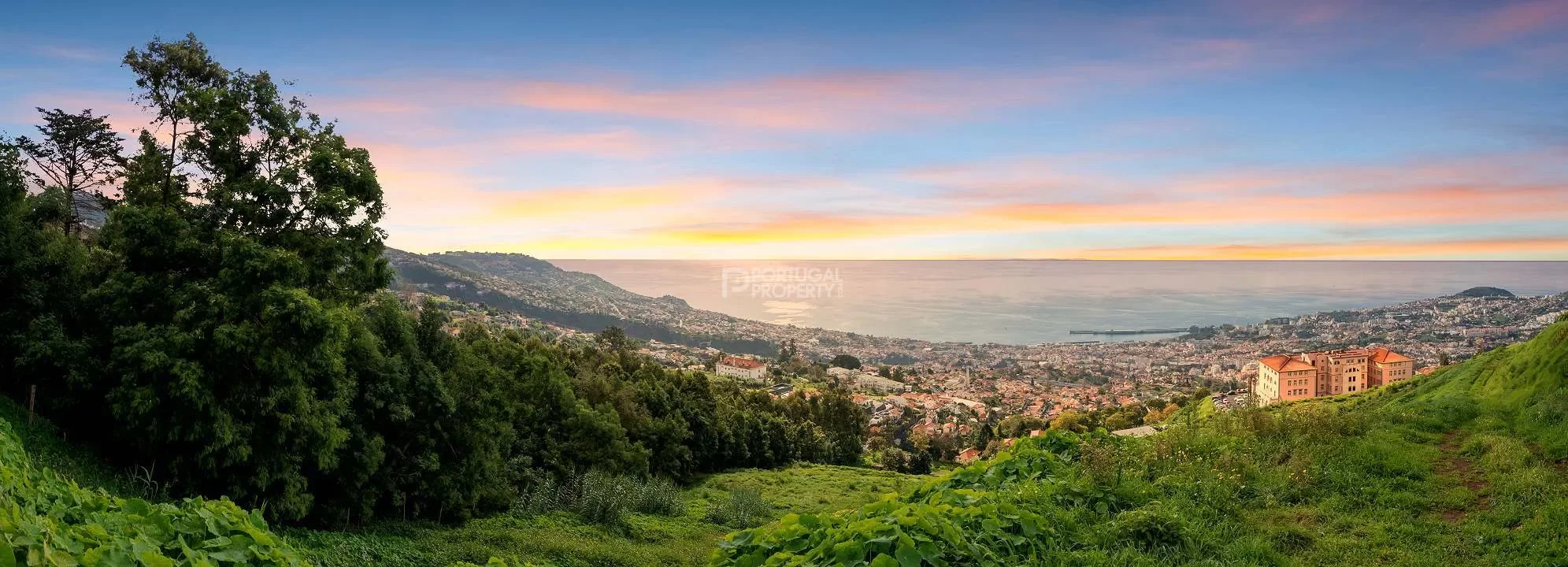 Funchal, Madeira, Funchal, Se, Madeira, Portugal. - Photo 2