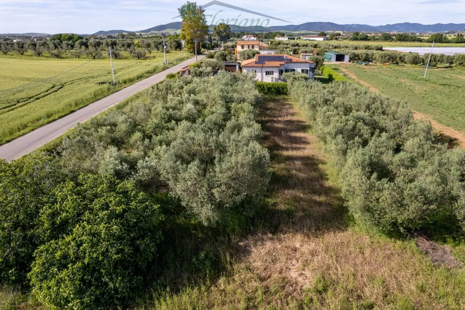 Strada della Percossa, Montalto di Castro, Lazio, Italy. - Photo 5