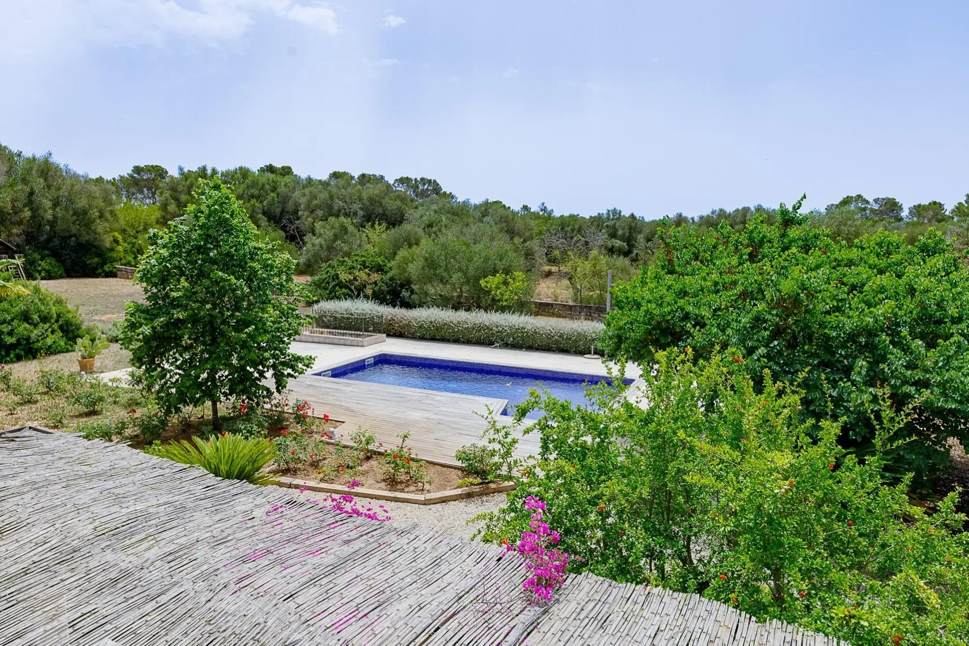 Sencelles, Sencelles, BALEARES, Sencelles, Sencelles, Balearic Islands, Spain. - Photo 7
