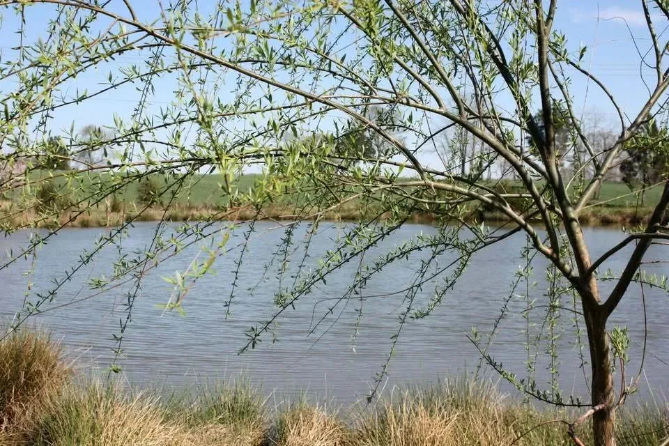 Gallery photo 5