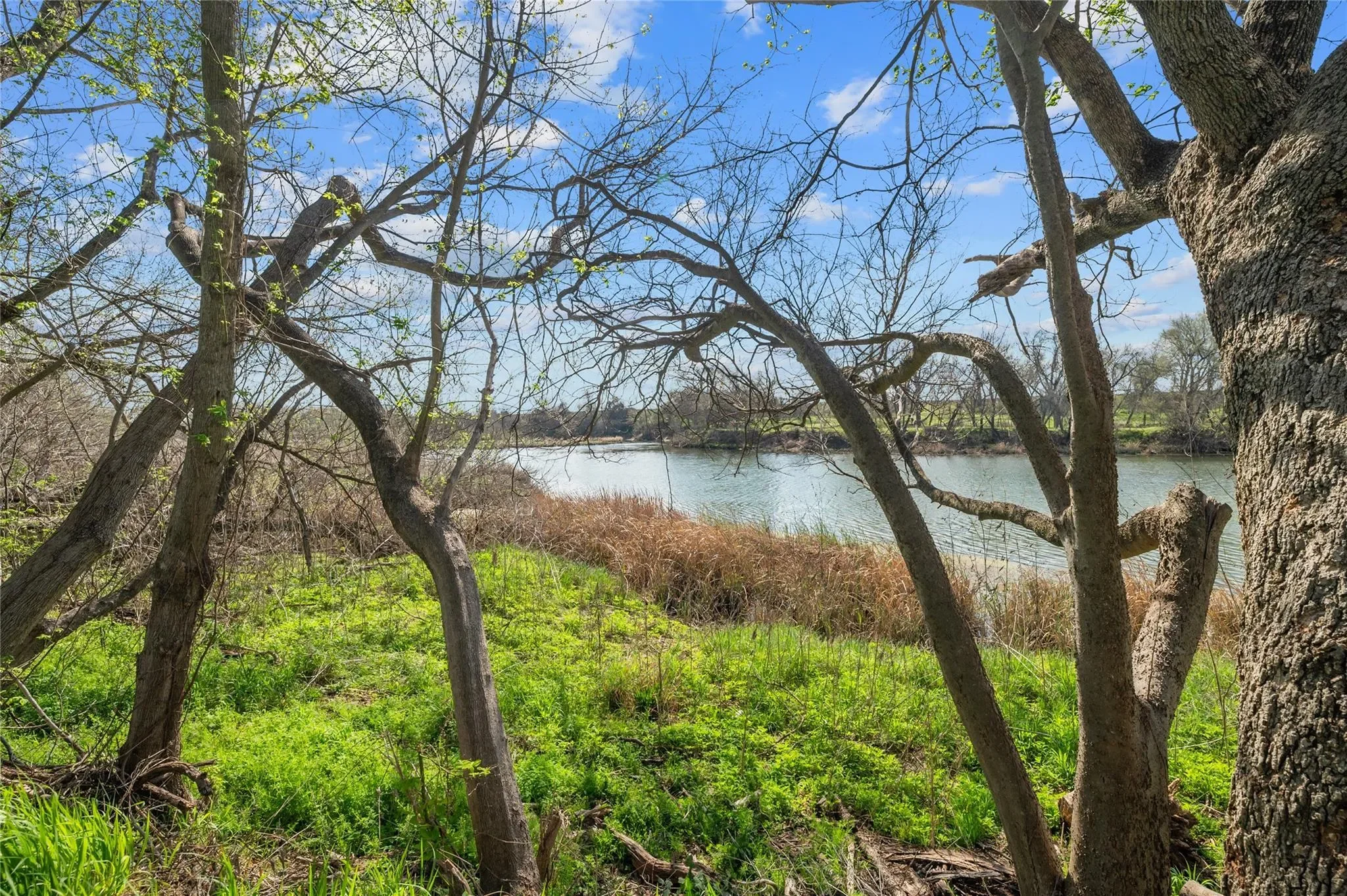 7705 Shelton RD, Austin, Texas, United States. - Photo 9
