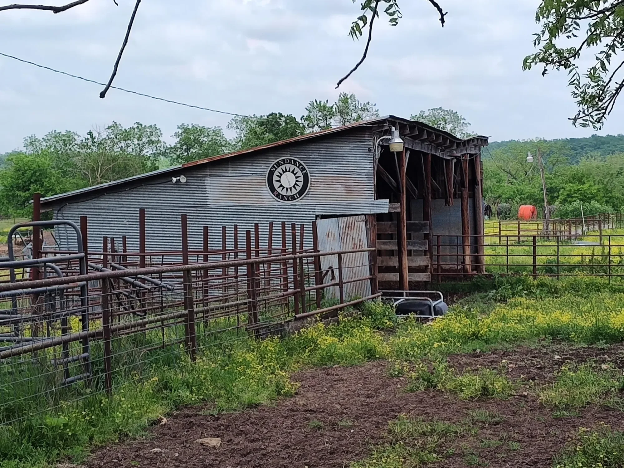 1898 E 332nd Road, Polk, MO 65727, Bolivar, Missouri, United States. - Photo 43