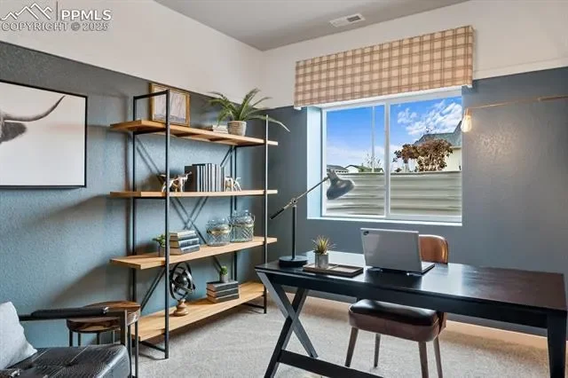 9996 Antelope Ravine Drive, Colorado Springs, CO 80908, Colorado Springs, Colorado, United States. - Photo 36
