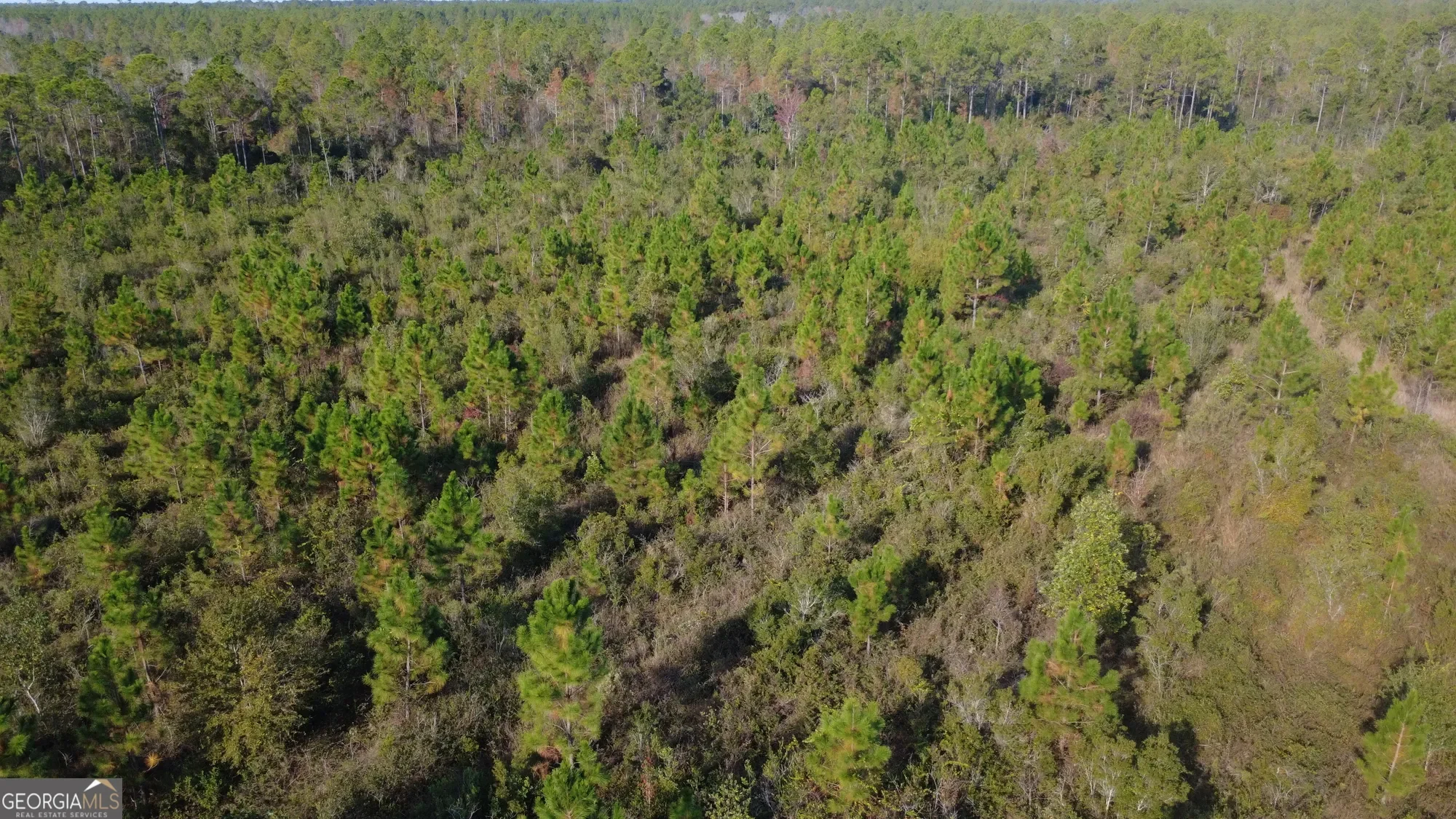 0 Fargo Highway, Homerville, GA 31634, Homerville, Georgia, United States. - Photo 11