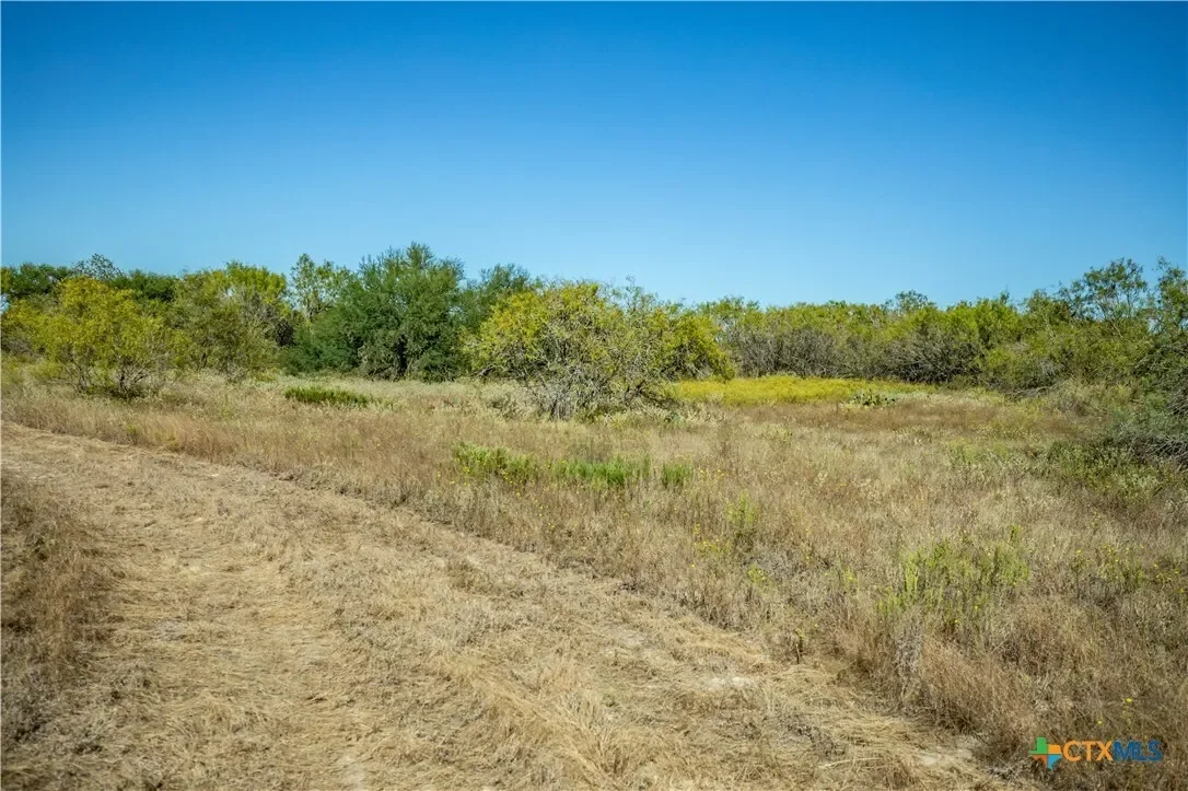 21123 Lamm Road, Elmendorf, TX 78112, Elmendorf, Texas, United States. - Photo 40