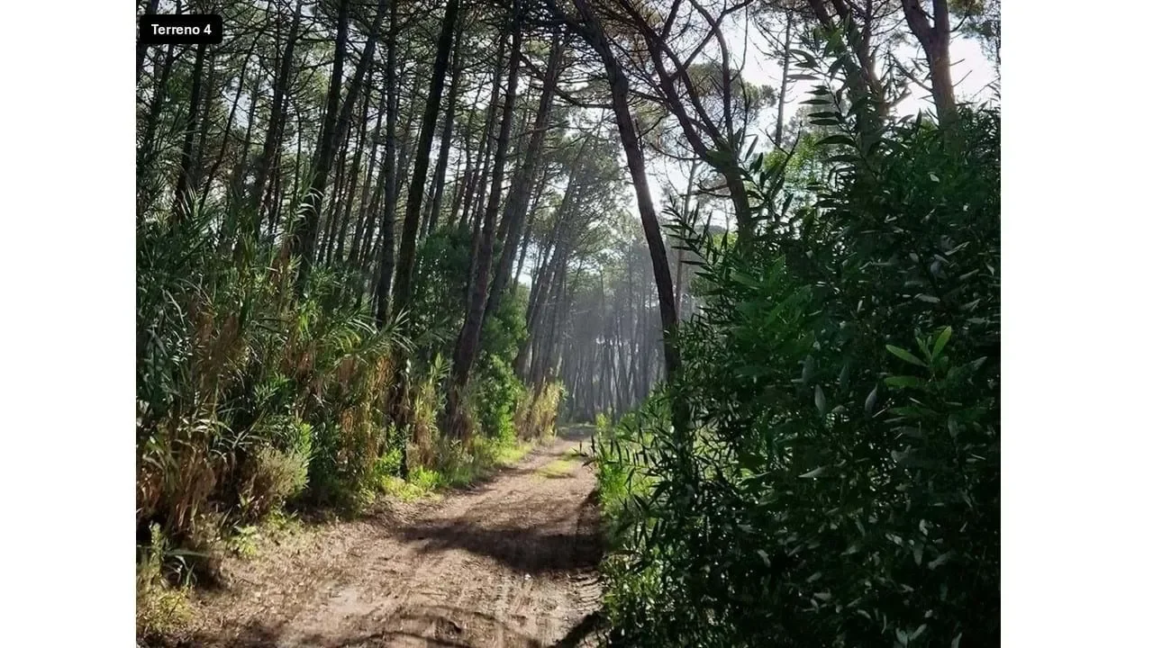 Praia das Maçãs, Lisboa, Colares, Lisbon, Portugal. - Photo 7