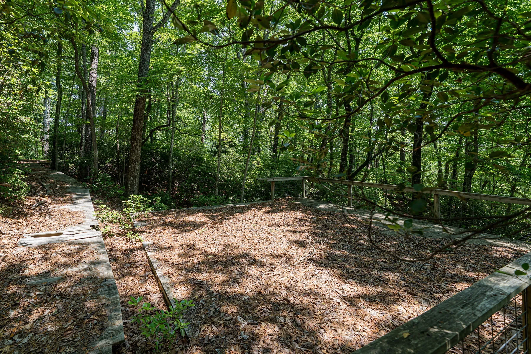 1000 Sutton Creek Road, Pisgah Forest, NC 28768, Mills River, North Carolina, United States. - Photo 4