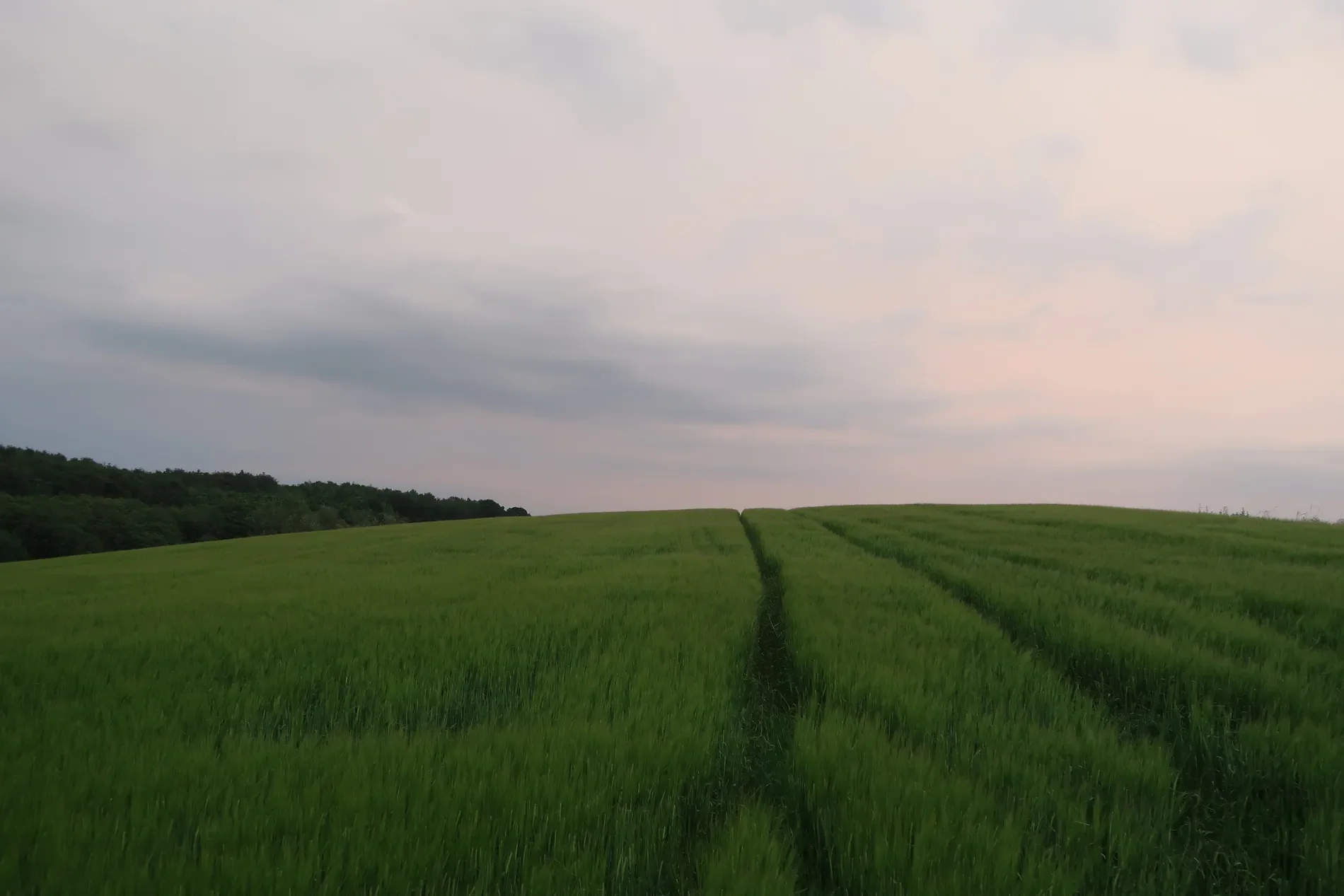 Gamla Lundavägen 418, Skåne, M 271 91, Ystad, Skåne County, Sweden. - Photo 33
