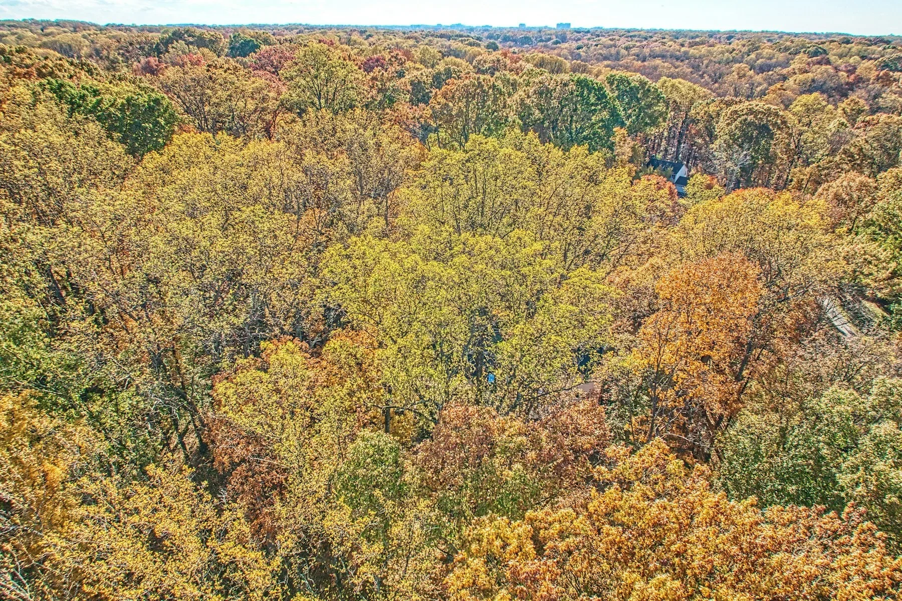 11008 Devenish Drive , Oakton, VA 22124, Oakton, Virginia, United States. - Photo 52