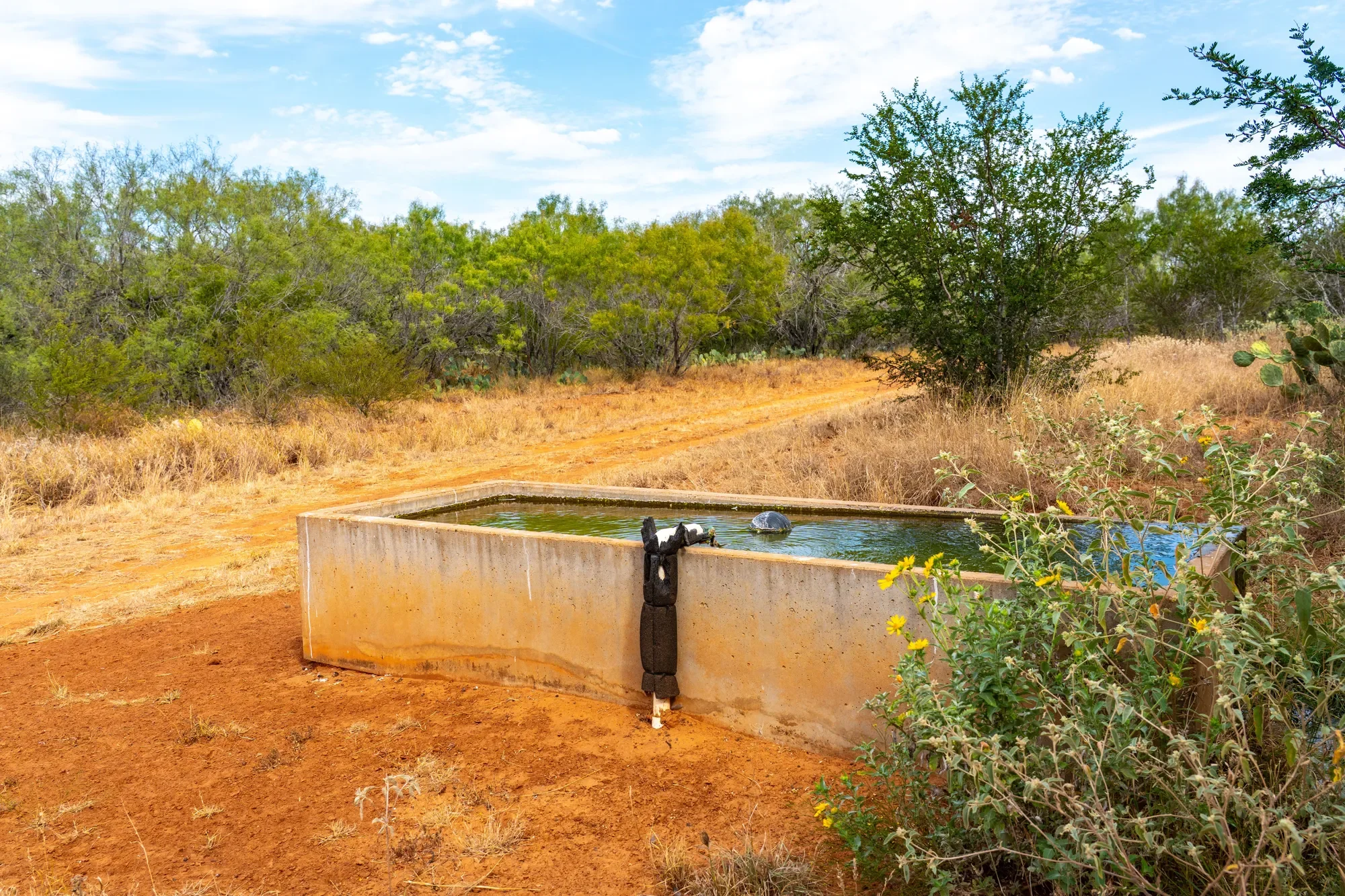 La Parita Ranch