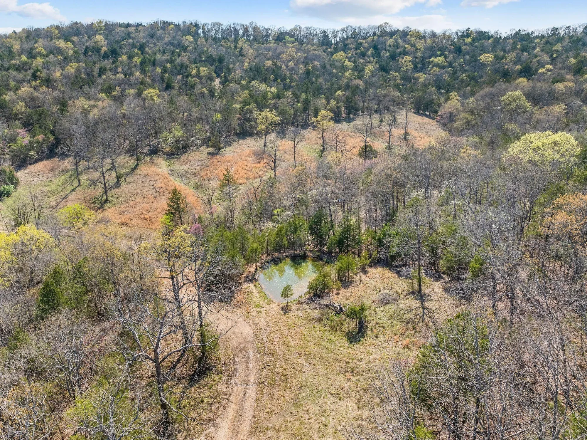 000 Tbd State Hwy J, Kirbyville, MO 65679, Kirbyville, Missouri, United States. - Photo 23