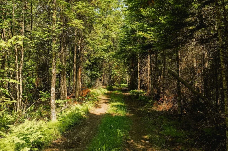 Lac-des-Plages, QC, J0T1K0, CANADA, Lac-des-Plages, Quebec, Canada. - Photo 44