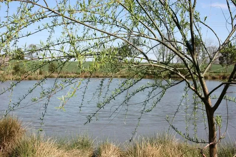 S Seminole Trail, Virginia, Madison County, United States. - Photo 5