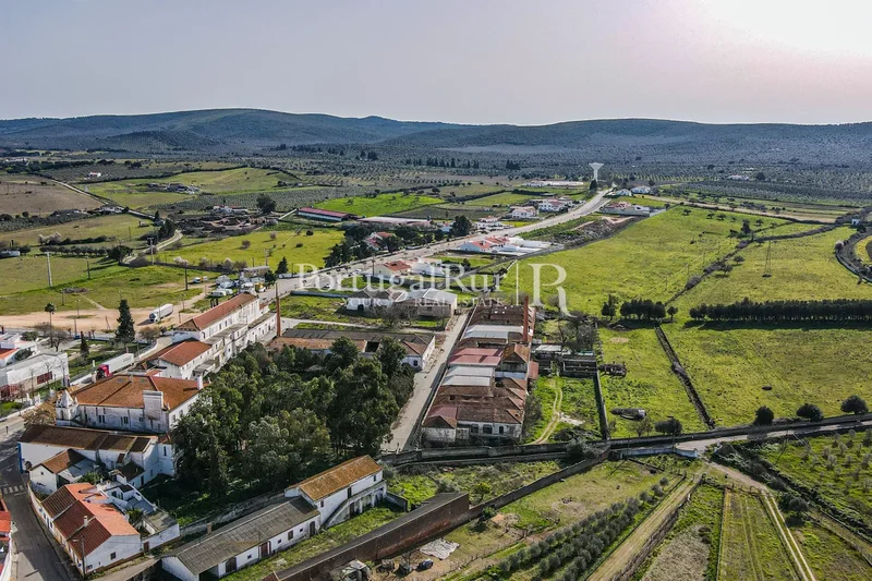 Farm of about 9 ha with magnificent Palace
