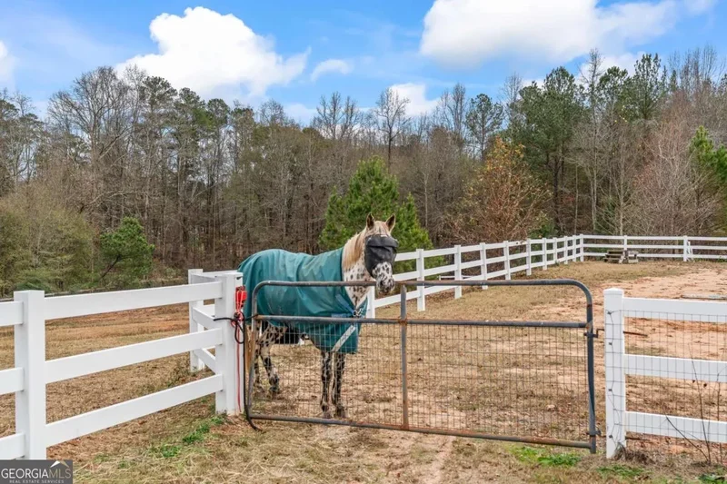 Conyers, Georgia, United States. - Photo 62
