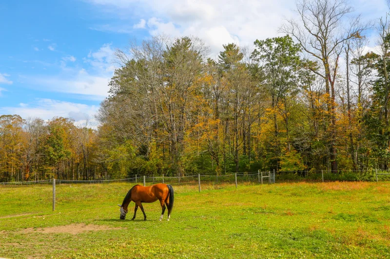 200 Easthampton Rd, Westhampton, MA 01027, Westhampton, Massachusetts, United States. - Photo 60