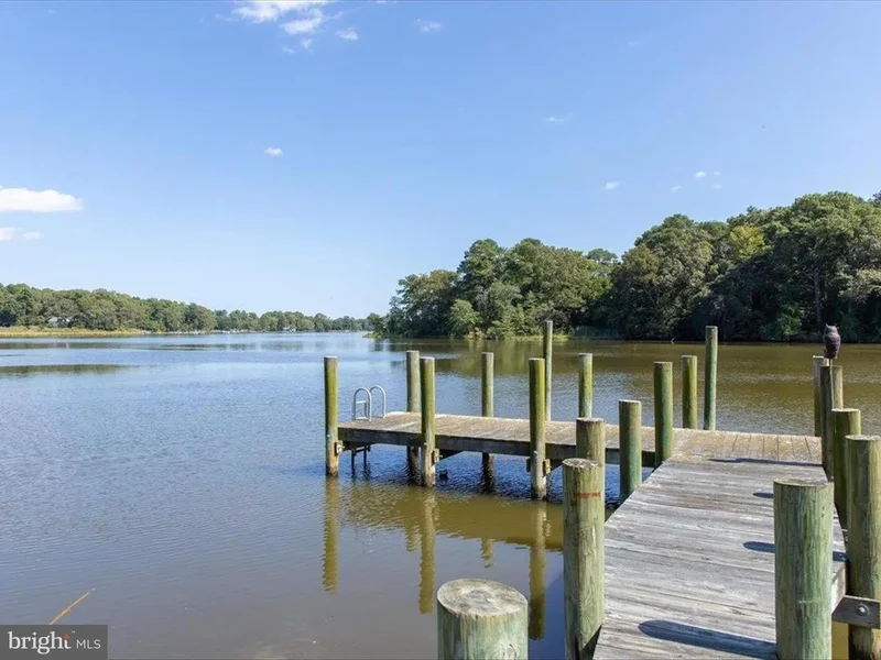 10542 EGRET CT, BISHOPVILLE, MD, 21813, USA, Bishopville, Maryland, United States. - Photo 83