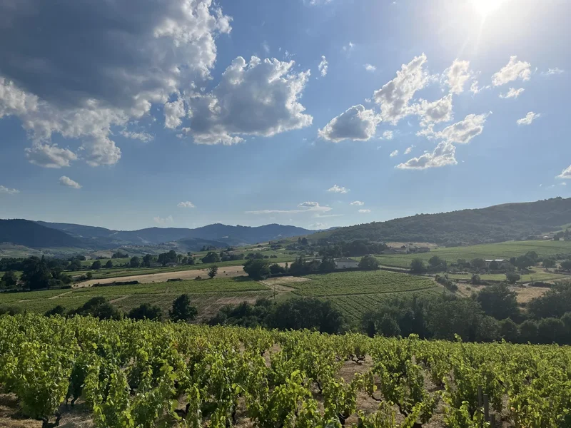Saint-Étienne-la-Varenne, Saint-Étienne-la-Varenne, Saint-Étienne-la-Varenne, Auvergne-Rhône-Alpes, France. - Photo 32