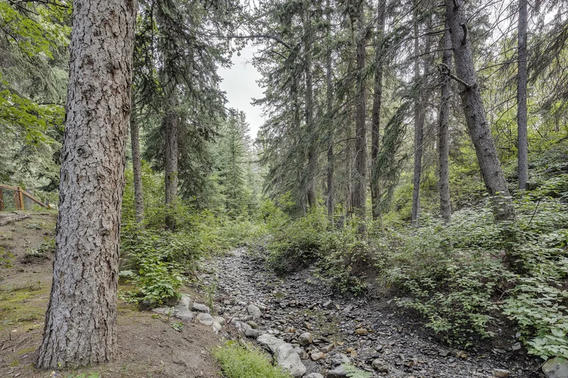 9 Mountaineer Close, Lac Des Arcs, AB T1W2W3, Kananaskis, Alberta, Canada. - Photo 6