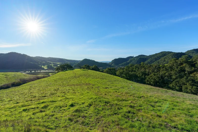 518 Bella Terra Court , San Luis Obispo, CA 93401, Pismo Beach, California, United States. - Photo 21