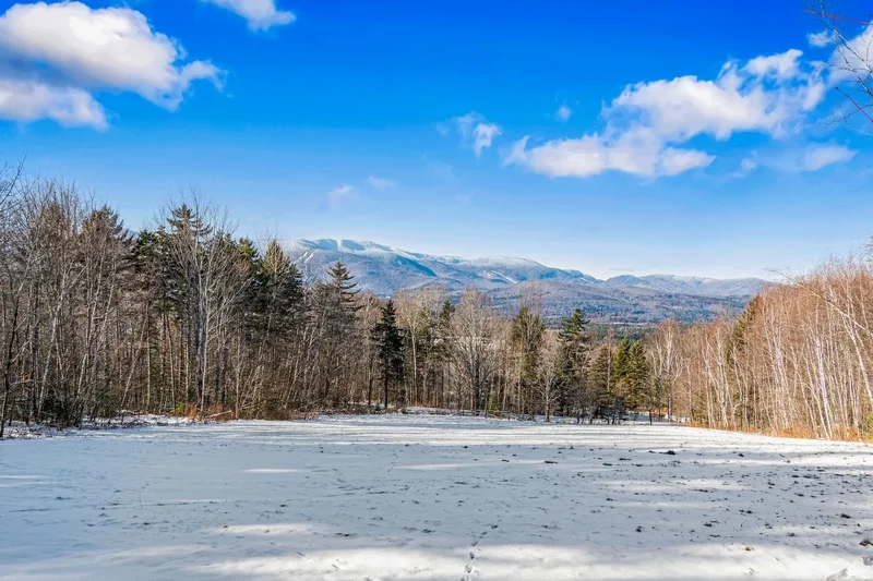 1227 Roxbury Mountain Road, Warren, VT 05674, Warren, Vermont, United States. - Photo 2
