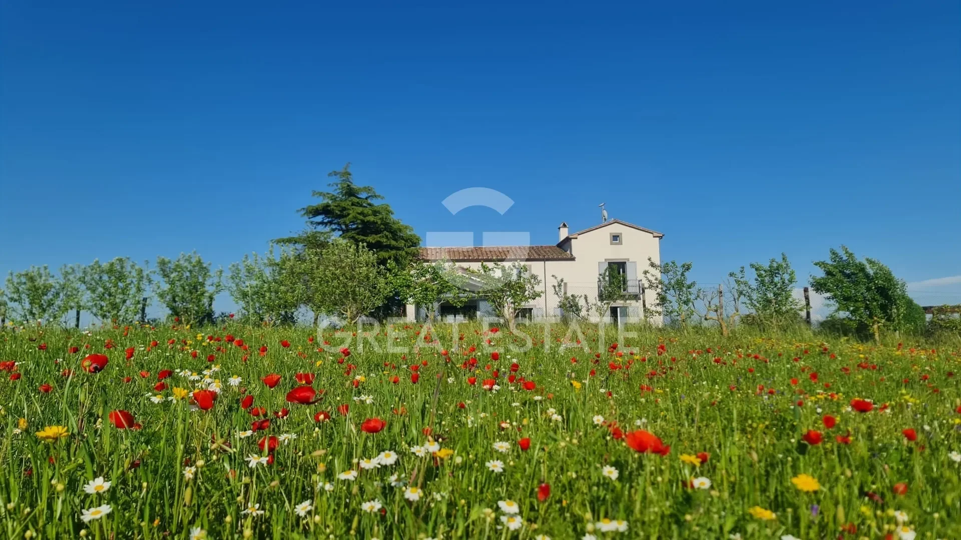 Lazio, Viterbo, Lazio, Italy. - Photo 11