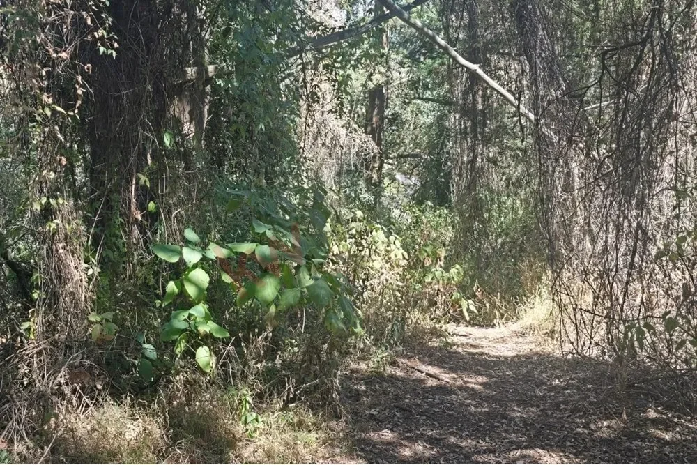 Gallery photo 11