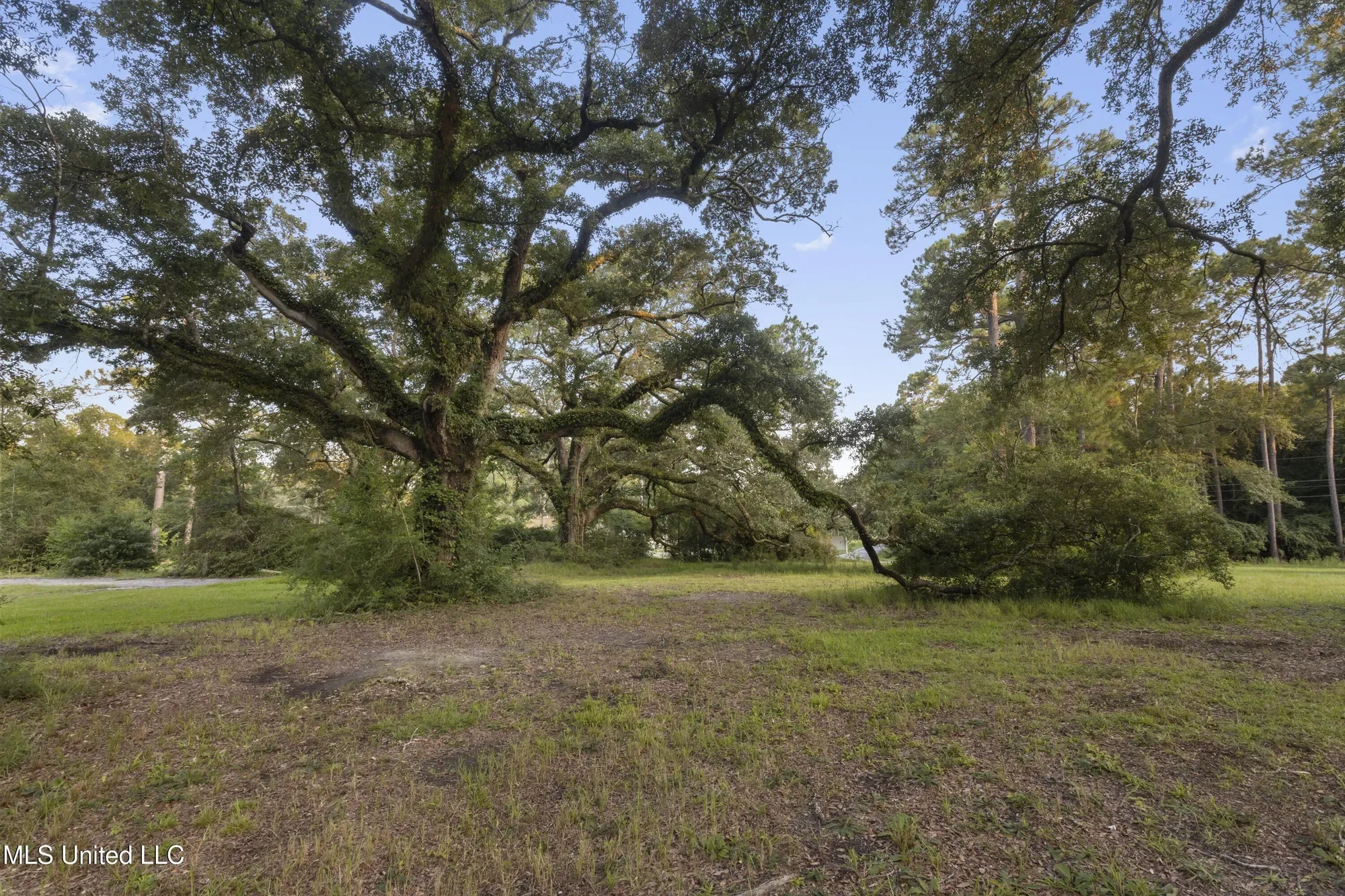 8.13 Acres Dixie Street, Ocean Springs, MS 39564, Ocean Springs, Mississippi, United States. - Photo 10