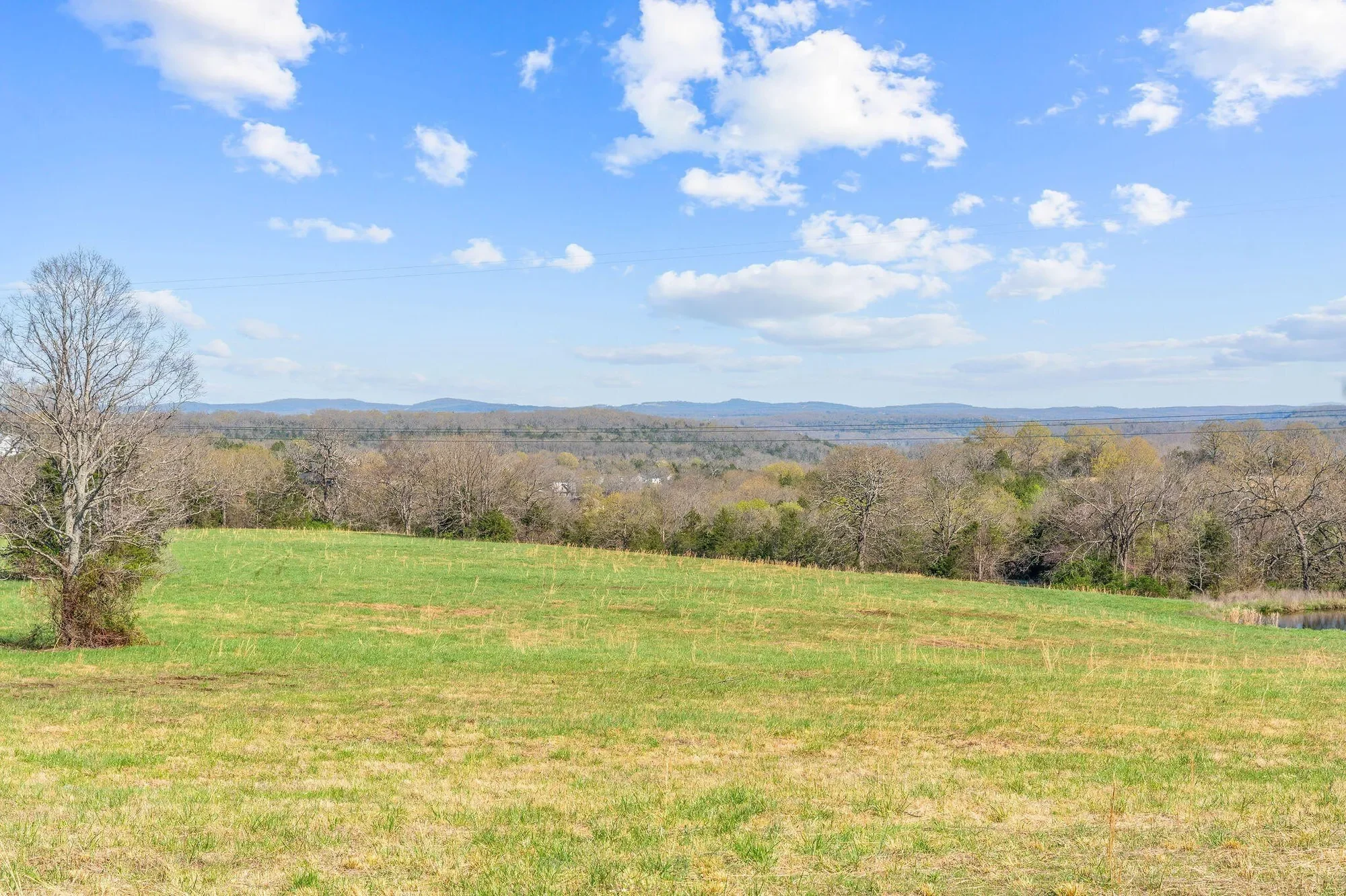 000 Tbd State Hwy J, Kirbyville, MO 65679, Kirbyville, Missouri, United States. - Photo 26