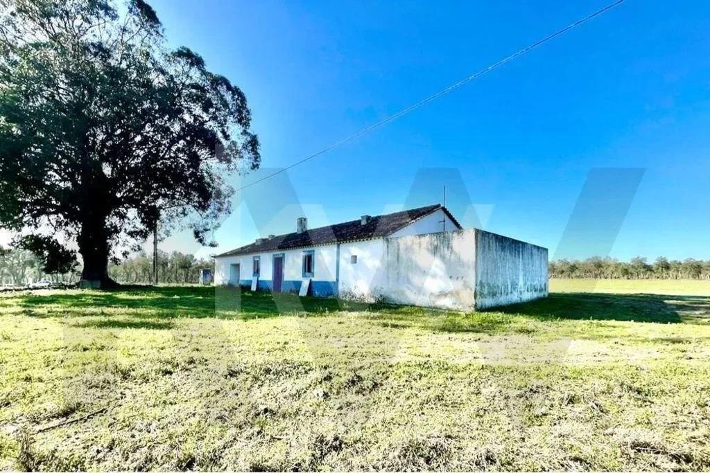 Exterior photo 8