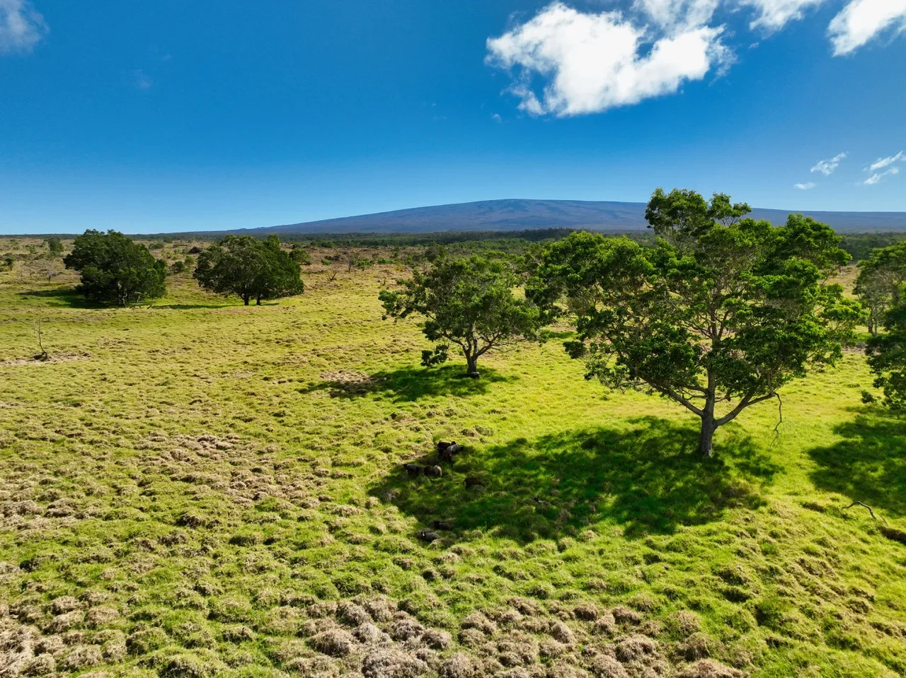 15-B #Hokukano Lot 15B, Kealakekua, HI 96725, Captain Cook, Hawaii, United States. - Photo 3