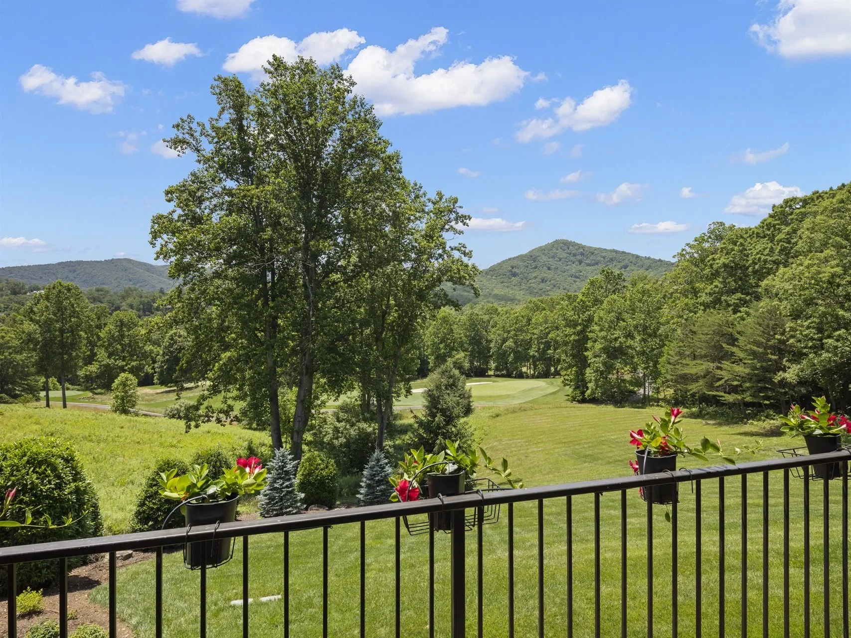 36 Rain Lily, Arden, NC, 28704, USA, Arden, North Carolina, United States. - Photo 20