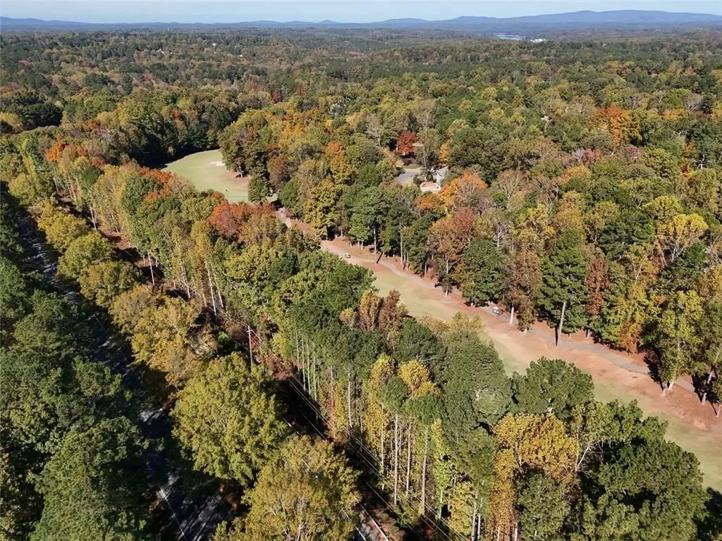 219 Morning Mist Way, Woodstock, GA 30189, Woodstock, Georgia, United States. - Photo 24
