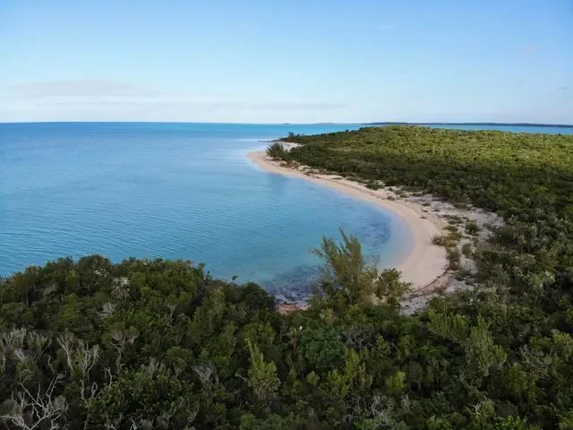 ELEVATED WATERFRONT LOT, McKann's Settlement, Long Island, The Bahamas. - Photo 14