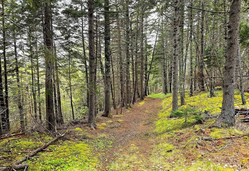 12812 Shore Road, Moshers Corner, Nova Scotia, Canada. - Photo 16