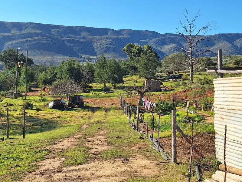 George, Western Cape, South Africa. - Photo 47