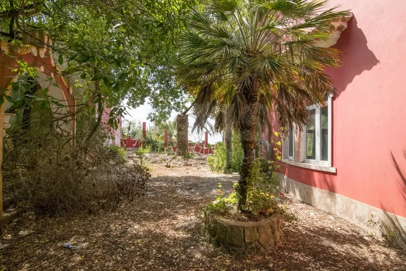 São João das Lampas, Lisbon, Portugal. - Photo 58