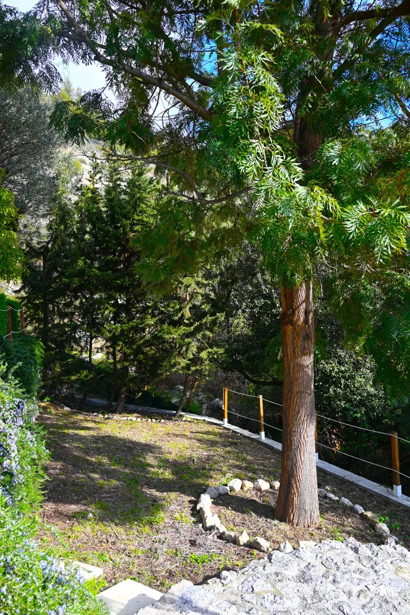 Roquebrune-Cap-Martin, Provence-Alpes-Côte d'Azur, France. - Photo 5